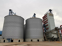 grain silo and drying tower