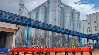 Vietnam 6x500t Coffee Beans Steel Silos Project